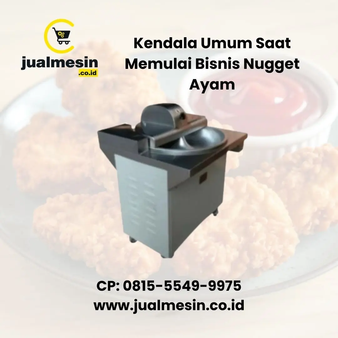 Kendala Umum Saat Memulai Bisnis Nugget Ayam